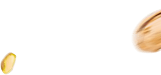 Layer 9